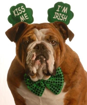have a fun and frugal St. Patrick's Day